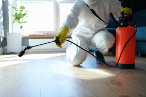 Trusted Sewage Cleanup service in Springdale, NC - Four Month Blood Cleanse